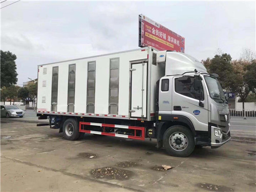 福田歐馬可S5雛禽運輸車圖片參數詳細介紹