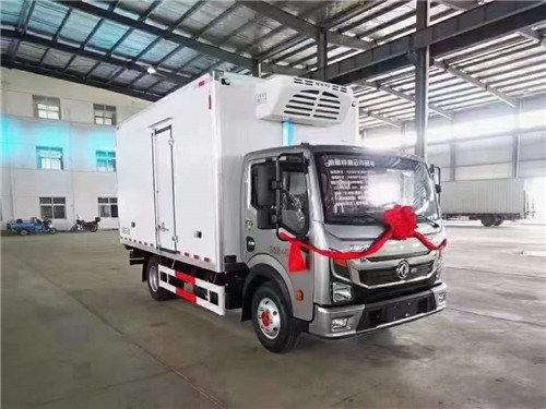 國六東風(fēng)凱普特K6星云冷藏車